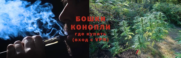 тгк Заводоуковск