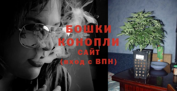 Альфа ПВП Осинники