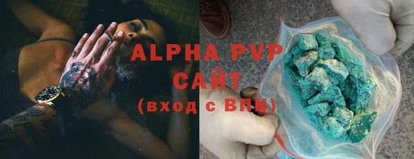 прущие грибы Гвардейск